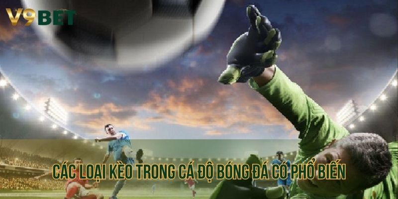 Các loại kèo trong cá độ bóng đá có phổ biến