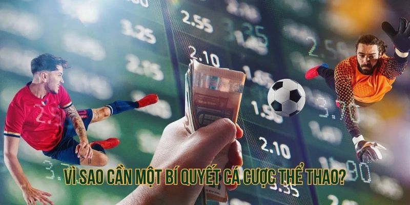 Bí quyết cá cược thể thao là cơ sở tạo nên chiến thắng bền vững