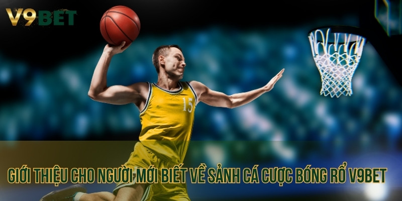 Giới thiệu cho người mới biết về sảnh cá cược bóng rổ V9BET