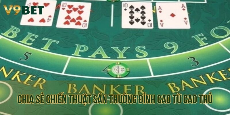 Chia sẻ chiến thuật săn thưởng đỉnh cao từ cao thủ