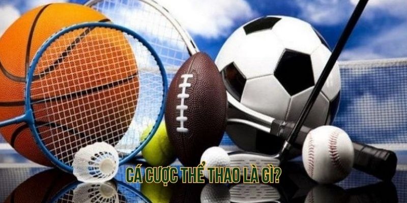 Cá cược thể thao là lựa chọn giải trí cực hấp dẫn