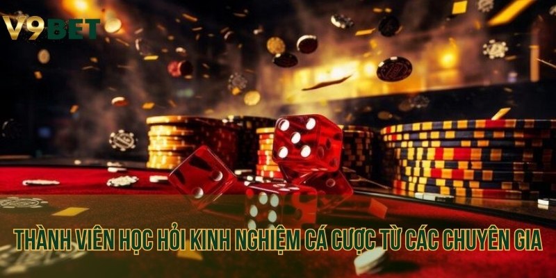 Thành viên học hỏi kinh nghiệm cá cược từ các chuyên gia